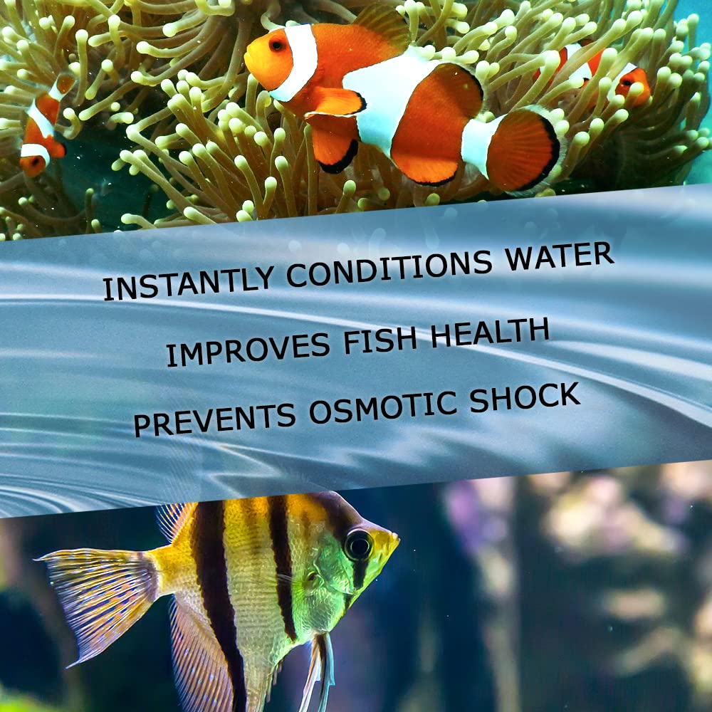 Your one-stop shop for diverse, top-quality aquarium supplies and accessories