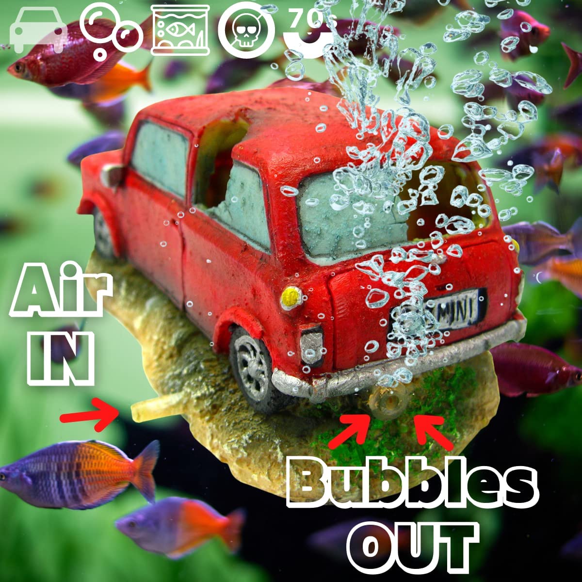 Your one-stop shop for diverse, top-quality aquarium supplies and accessories