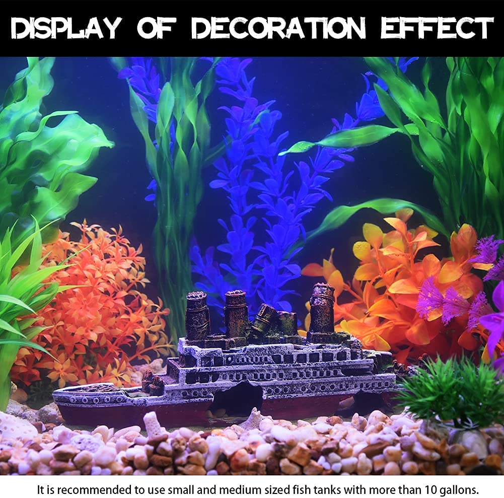 Your one-stop shop for diverse, top-quality aquarium supplies and accessories