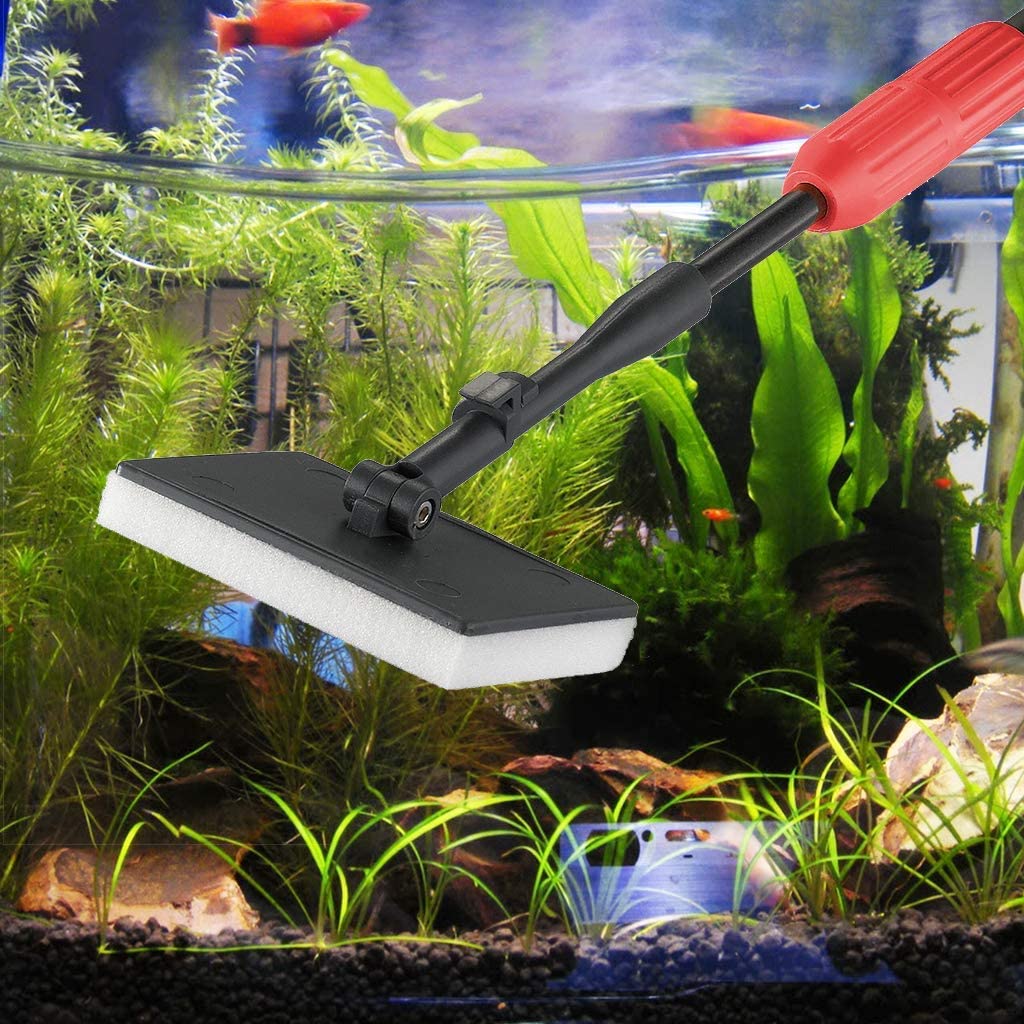 Your one-stop shop for diverse, top-quality aquarium supplies and accessories