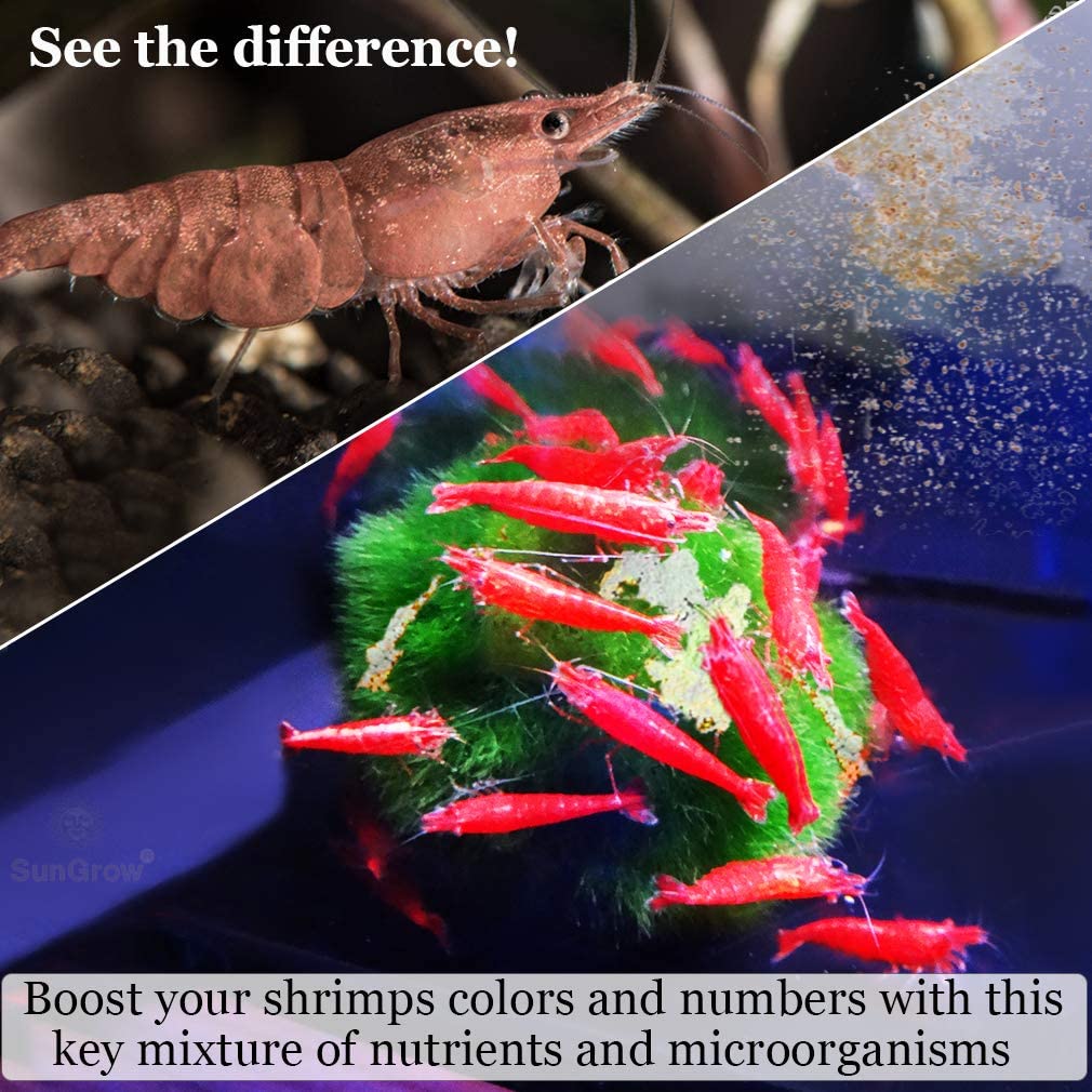 Your one-stop shop for diverse, top-quality aquarium supplies and accessories