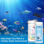 Your one-stop shop for diverse, top-quality aquarium supplies and accessories