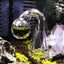 Your one-stop shop for diverse, top-quality aquarium supplies and accessories