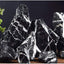 Your one-stop shop for diverse, top-quality aquarium supplies and accessories
