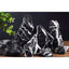 Your one-stop shop for diverse, top-quality aquarium supplies and accessories