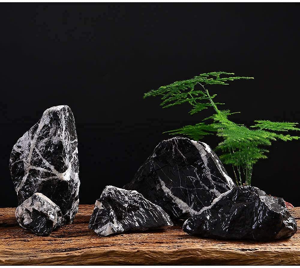 Your one-stop shop for diverse, top-quality aquarium supplies and accessories