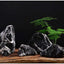 Your one-stop shop for diverse, top-quality aquarium supplies and accessories