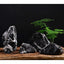 Your one-stop shop for diverse, top-quality aquarium supplies and accessories