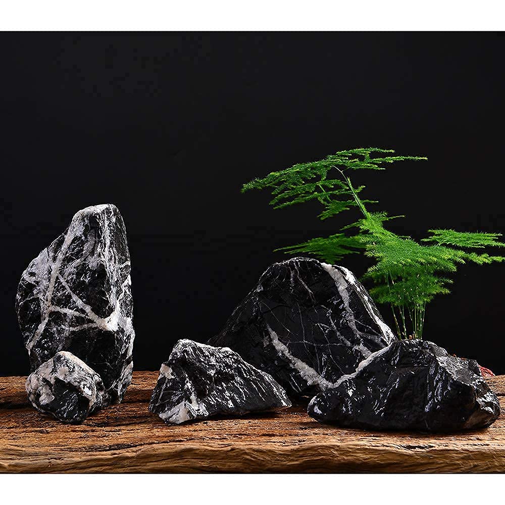 Your one-stop shop for diverse, top-quality aquarium supplies and accessories