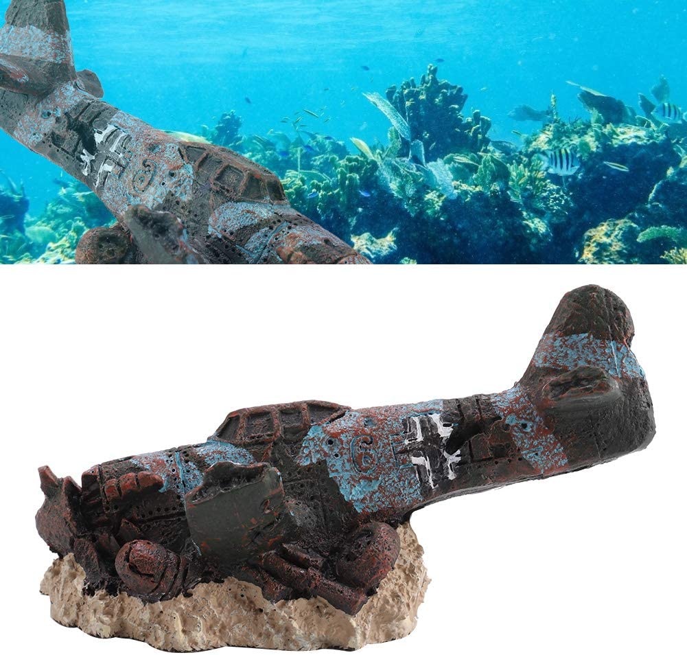 Your one-stop shop for diverse, top-quality aquarium supplies and accessories
