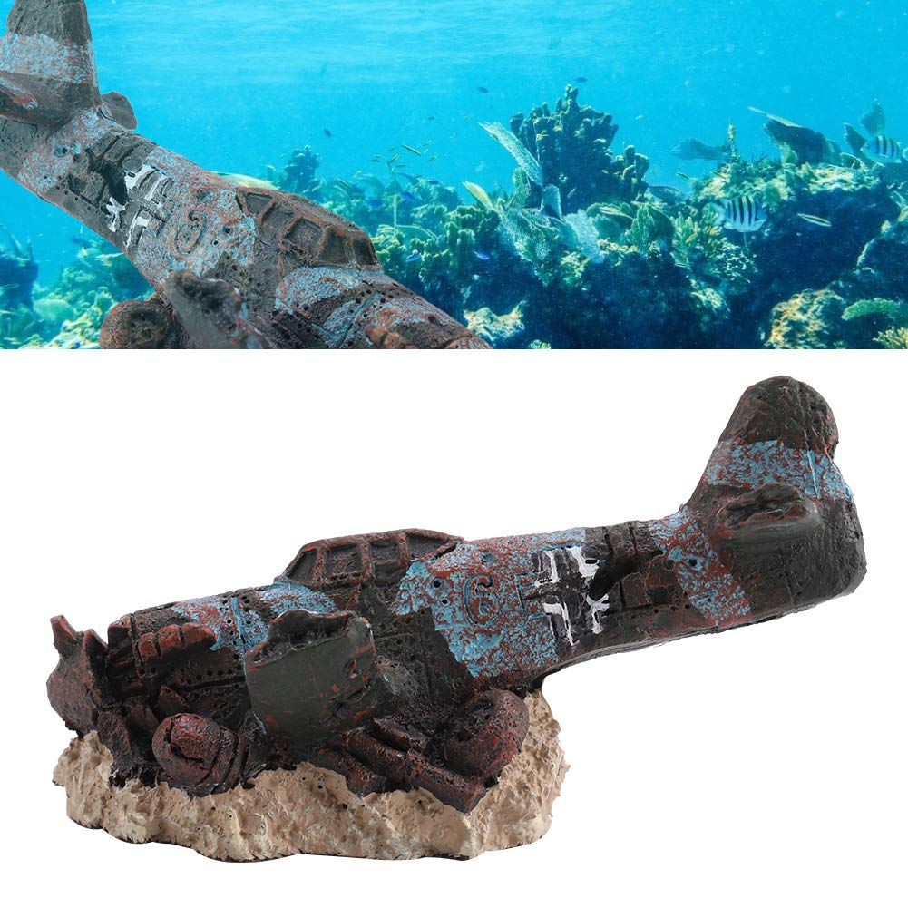 Your one-stop shop for diverse, top-quality aquarium supplies and accessories