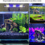 Your one-stop shop for diverse, top-quality aquarium supplies and accessories