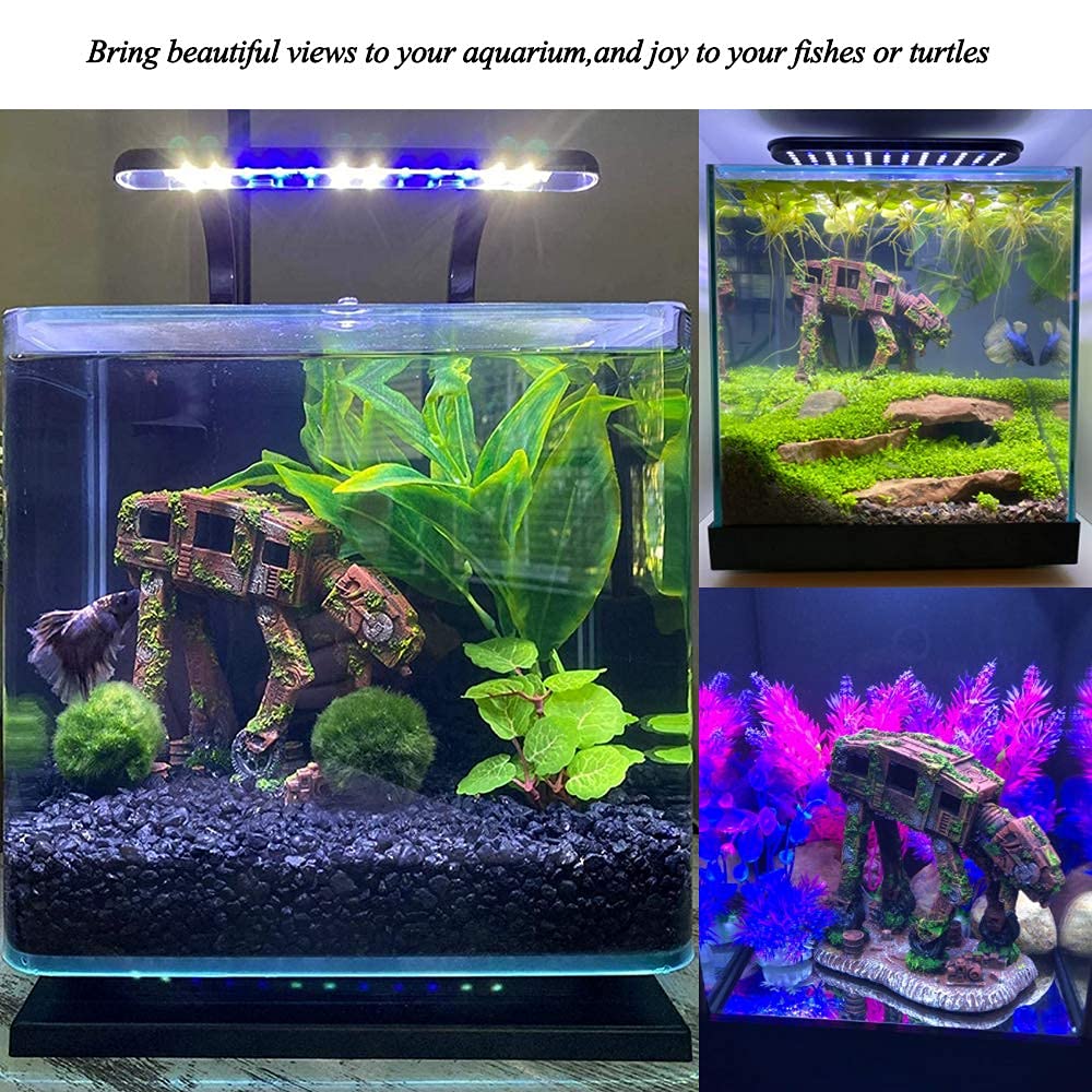 Your one-stop shop for diverse, top-quality aquarium supplies and accessories