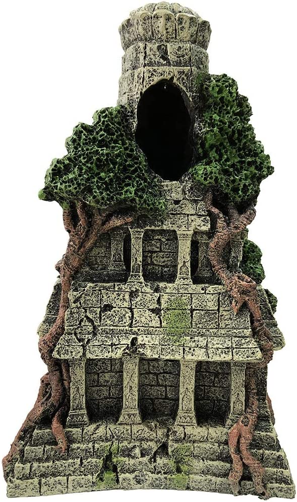 Your one-stop shop for diverse, top-quality aquarium supplies and accessories