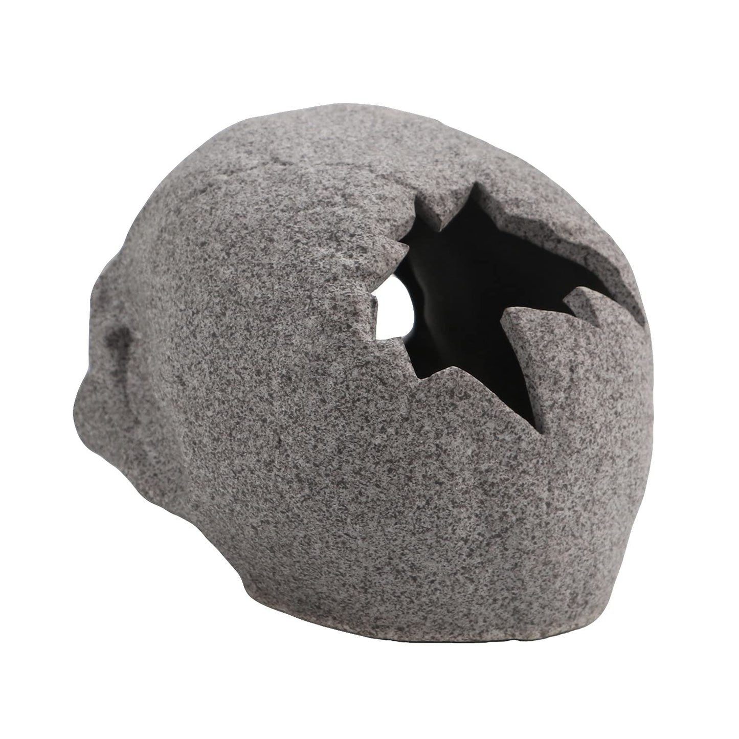 Your one-stop shop for diverse, top-quality aquarium supplies and accessories