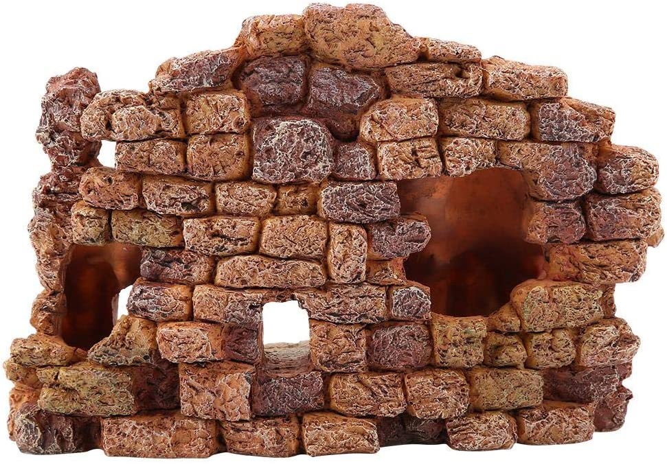 Your one-stop shop for diverse, top-quality aquarium supplies and accessories