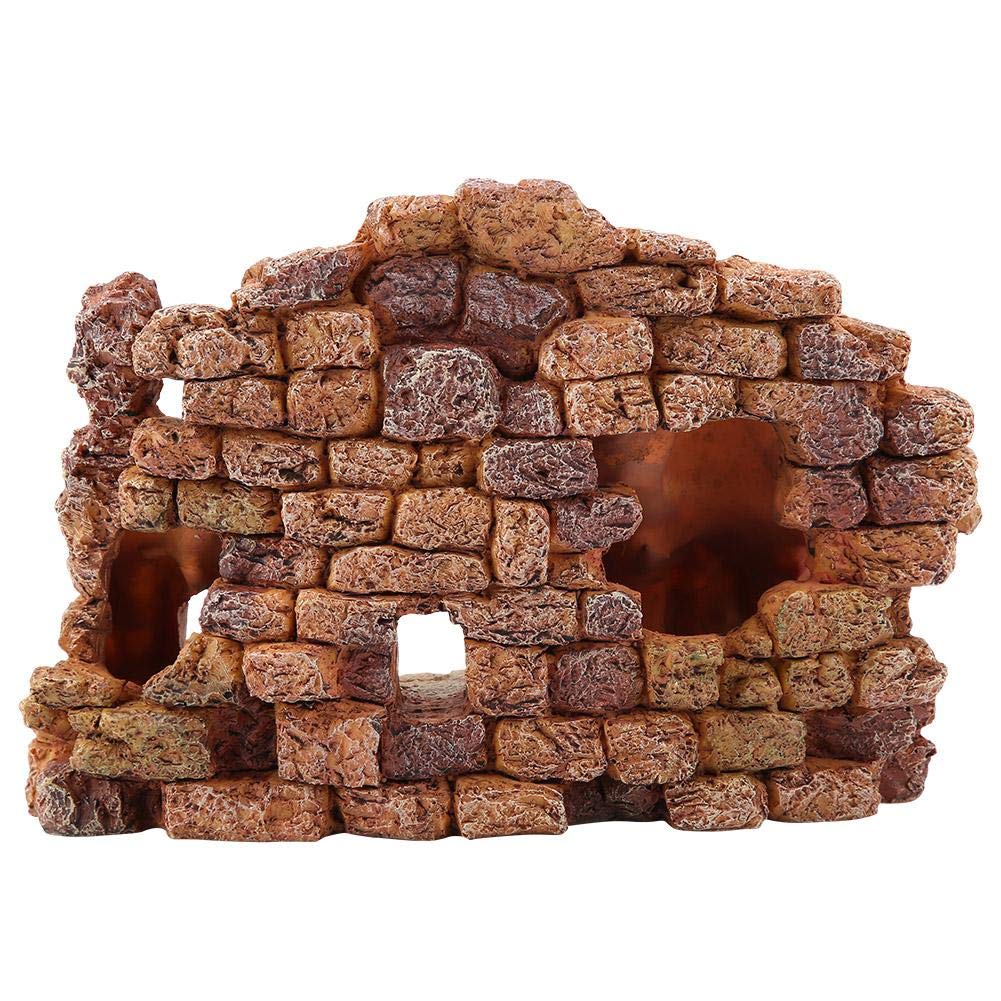 Your one-stop shop for diverse, top-quality aquarium supplies and accessories