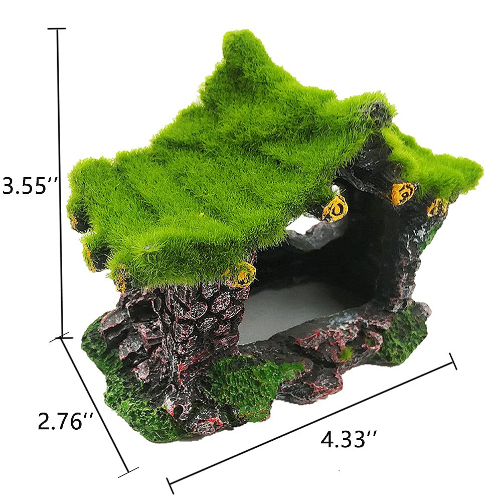 Your one-stop shop for diverse, top-quality aquarium supplies and accessories