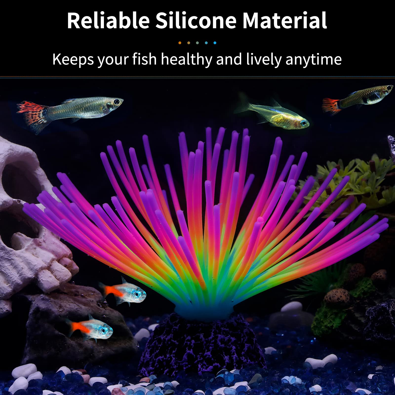 Your one-stop shop for diverse, top-quality aquarium supplies and accessories