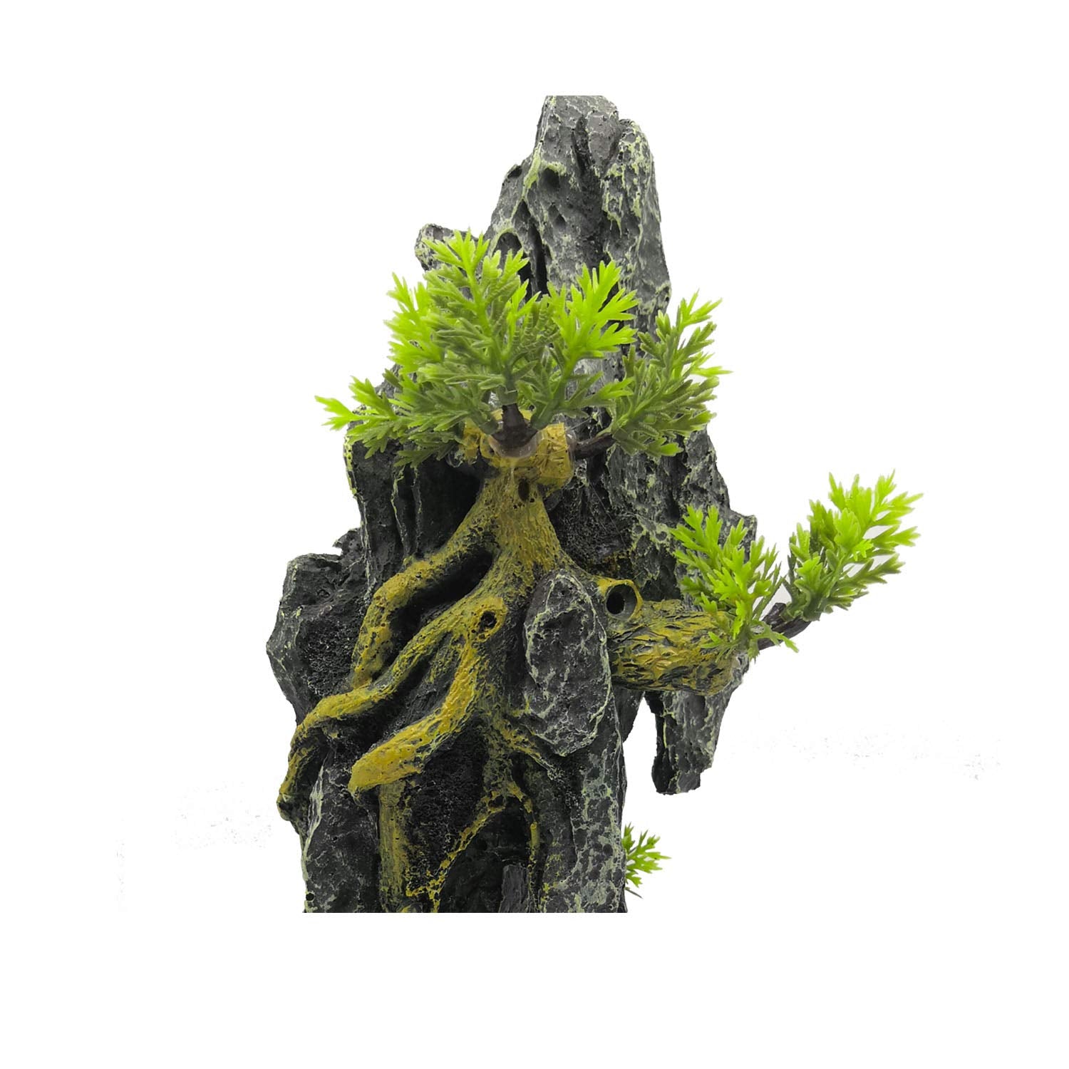 Your one-stop shop for diverse, top-quality aquarium supplies and accessories
