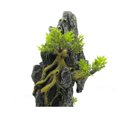 Your one-stop shop for diverse, top-quality aquarium supplies and accessories