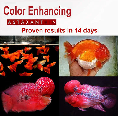 Your one-stop shop for diverse, top-quality aquarium supplies and accessories