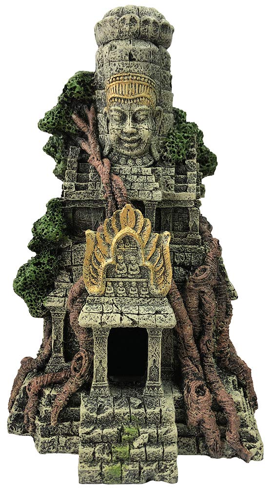 Your one-stop shop for diverse, top-quality aquarium supplies and accessories