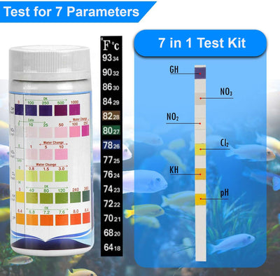 Your one-stop shop for diverse, top-quality aquarium supplies and accessories