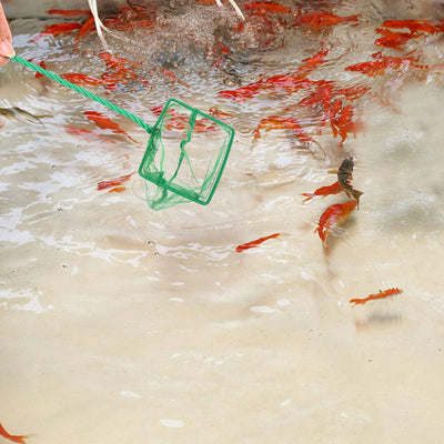 Your one-stop shop for diverse, top-quality aquarium supplies and accessories