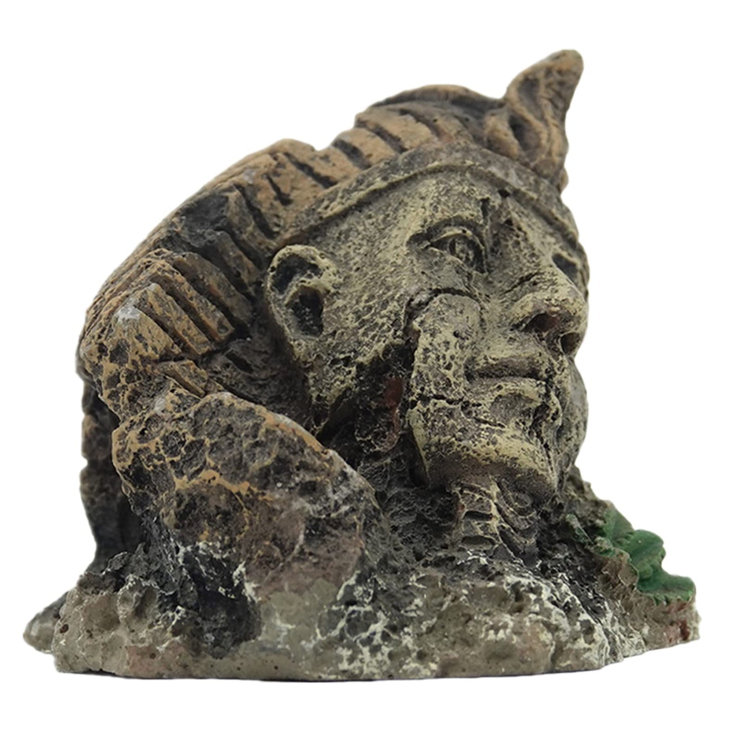 Your one-stop shop for diverse, top-quality aquarium supplies and accessories