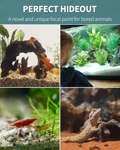 Your one-stop shop for diverse, top-quality aquarium supplies and accessories