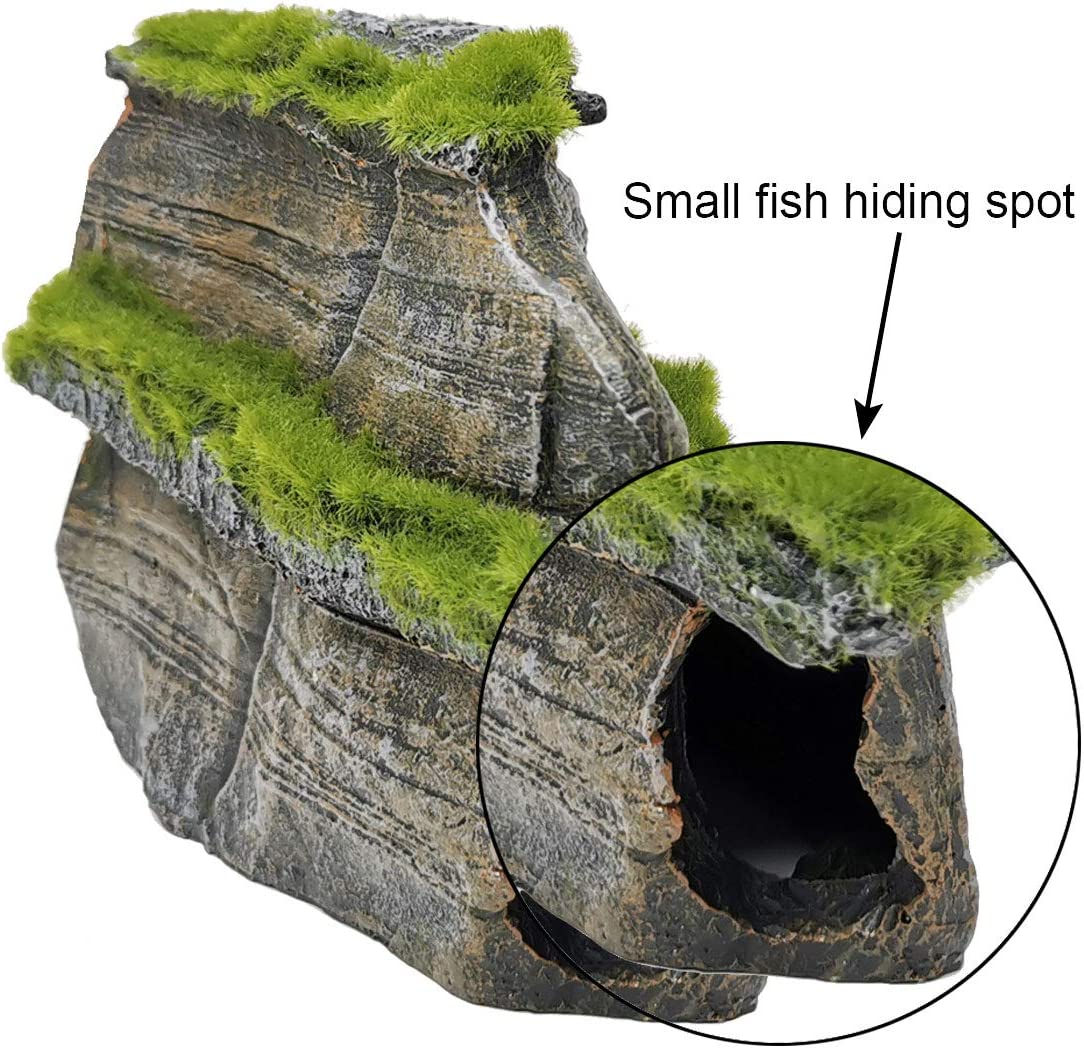 Your one-stop shop for diverse, top-quality aquarium supplies and accessories