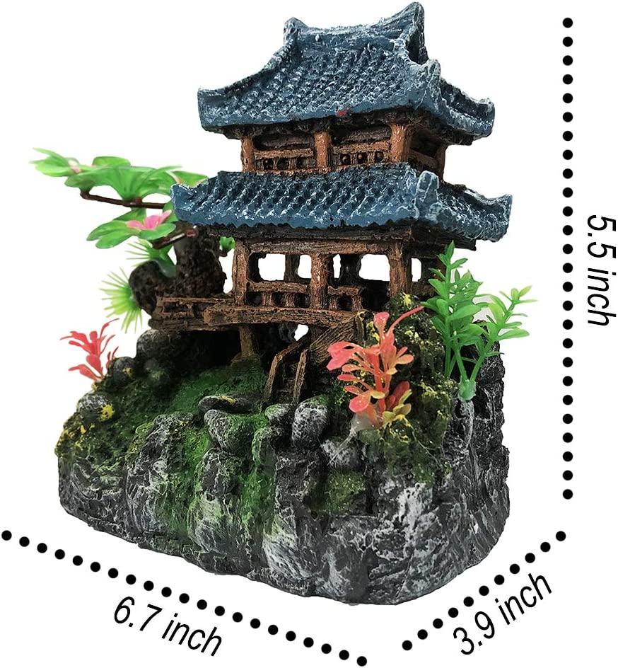 Your one-stop shop for diverse, top-quality aquarium supplies and accessories