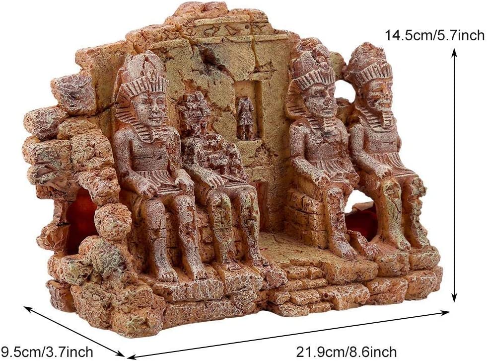 Your one-stop shop for diverse, top-quality aquarium supplies and accessories