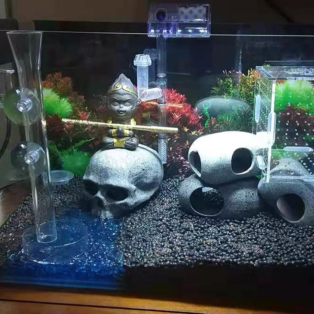 Your one-stop shop for diverse, top-quality aquarium supplies and accessories