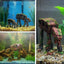 Your one-stop shop for diverse, top-quality aquarium supplies and accessories