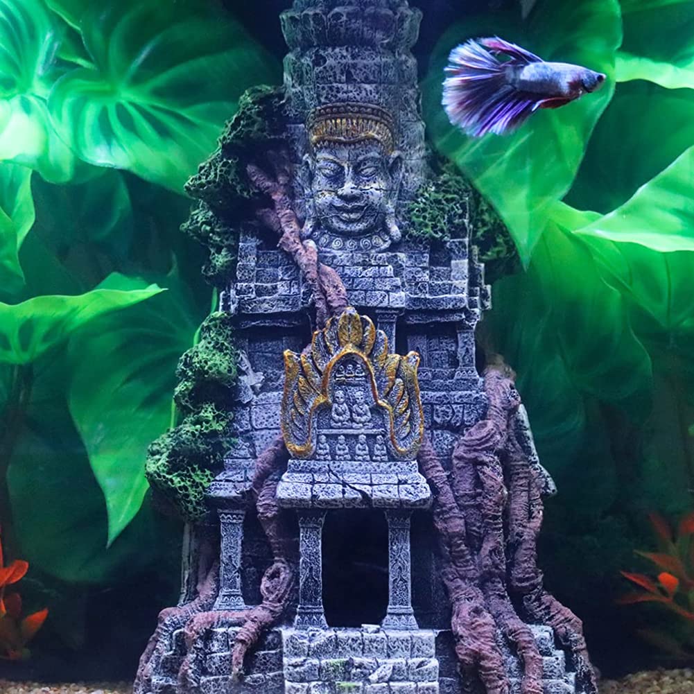 Your one-stop shop for diverse, top-quality aquarium supplies and accessories