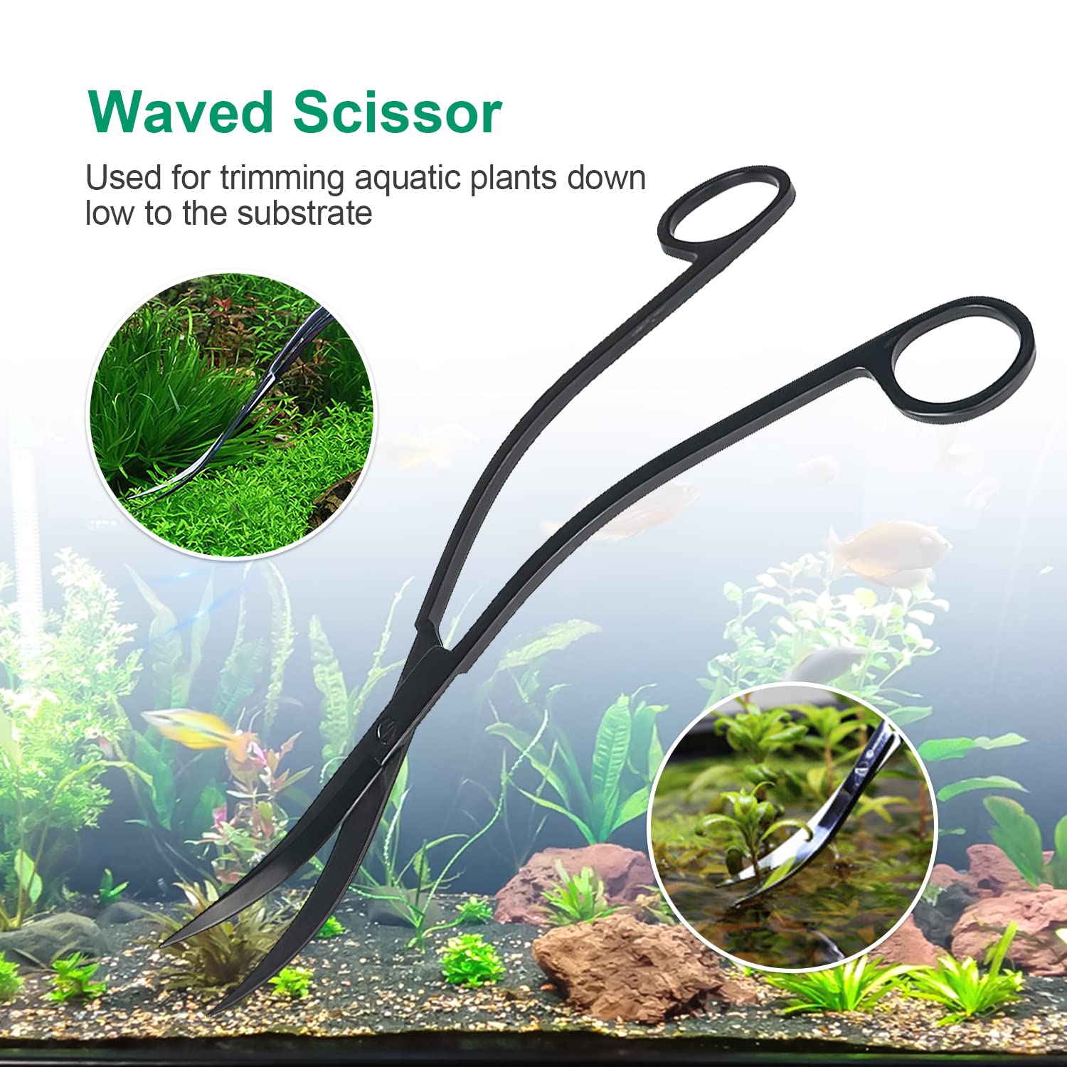 Your one-stop shop for diverse, top-quality aquarium supplies and accessories