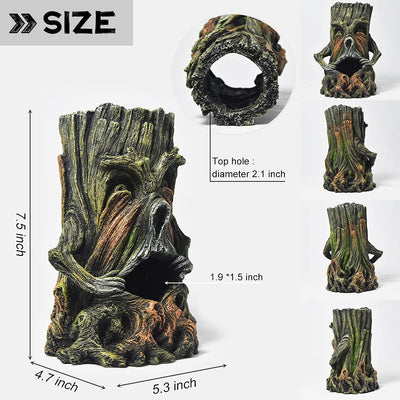 Your one-stop shop for diverse, top-quality aquarium supplies and accessories