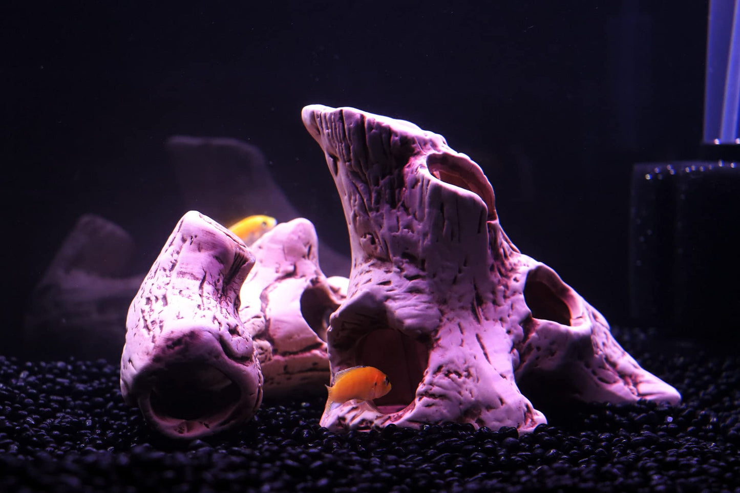 Your one-stop shop for diverse, top-quality aquarium supplies and accessories