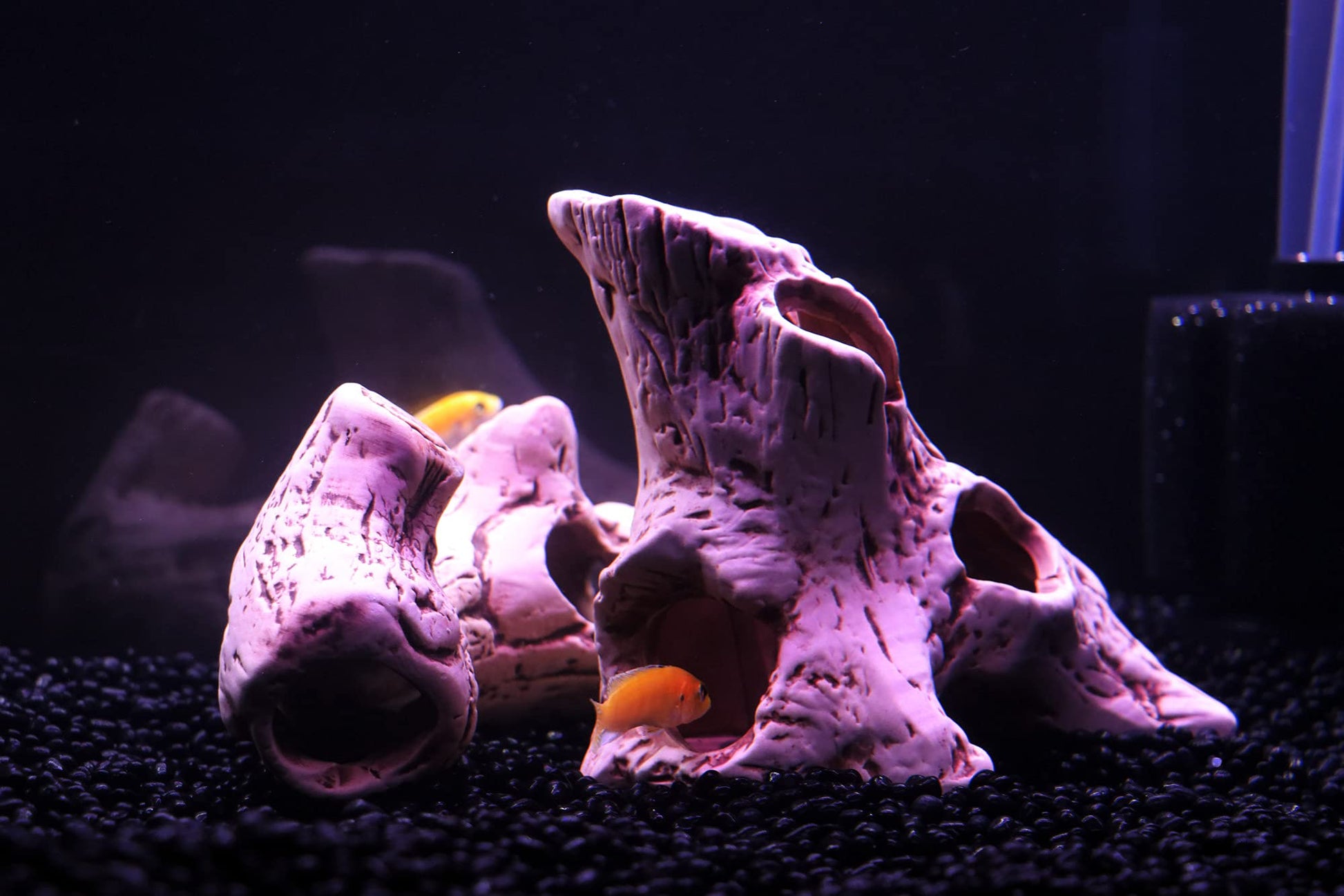 Your one-stop shop for diverse, top-quality aquarium supplies and accessories