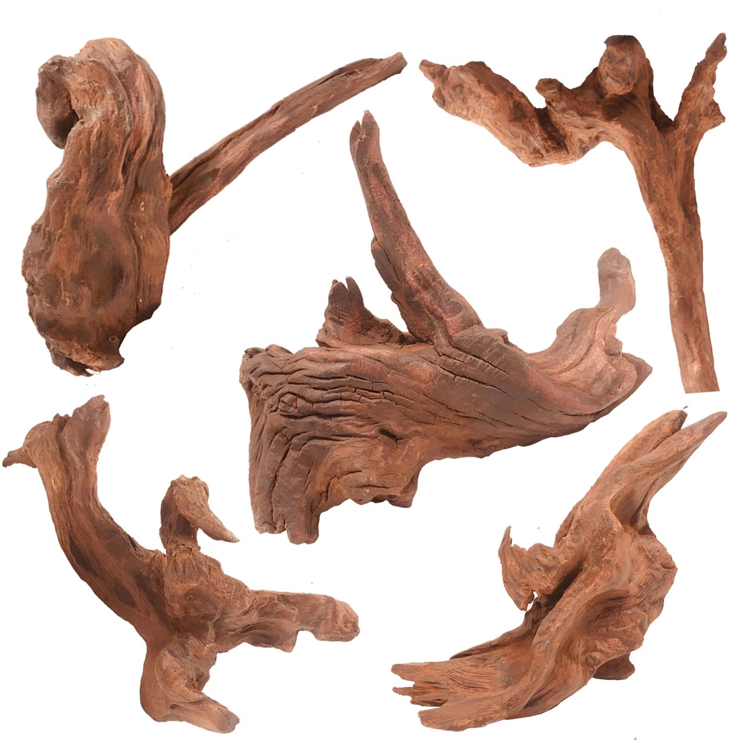 Your one-stop shop for diverse, top-quality aquarium supplies and accessories