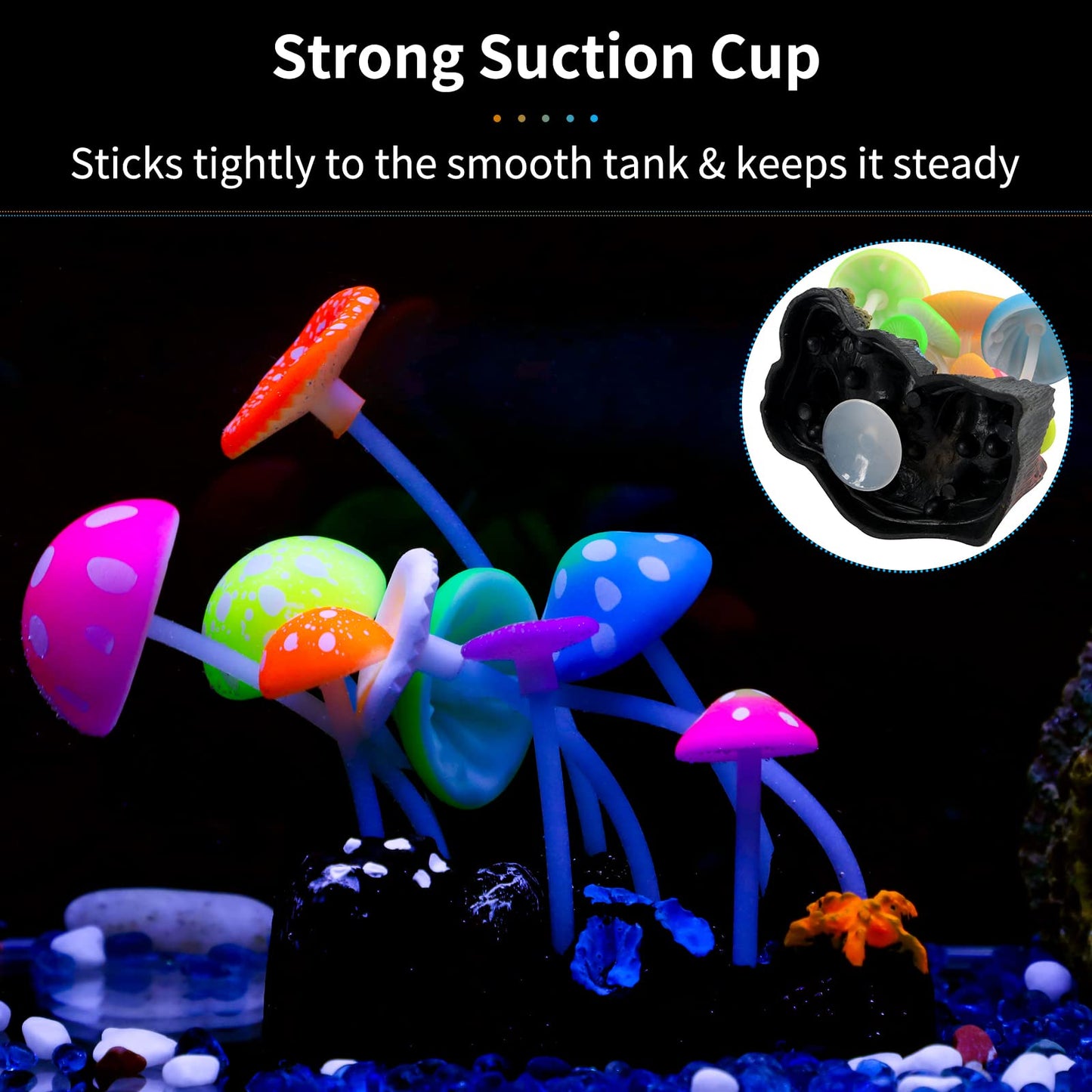 Your one-stop shop for diverse, top-quality aquarium supplies and accessories