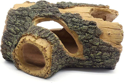 Your one-stop shop for diverse, top-quality aquarium supplies and accessories