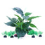 Your one-stop shop for diverse, top-quality aquarium supplies and accessories
