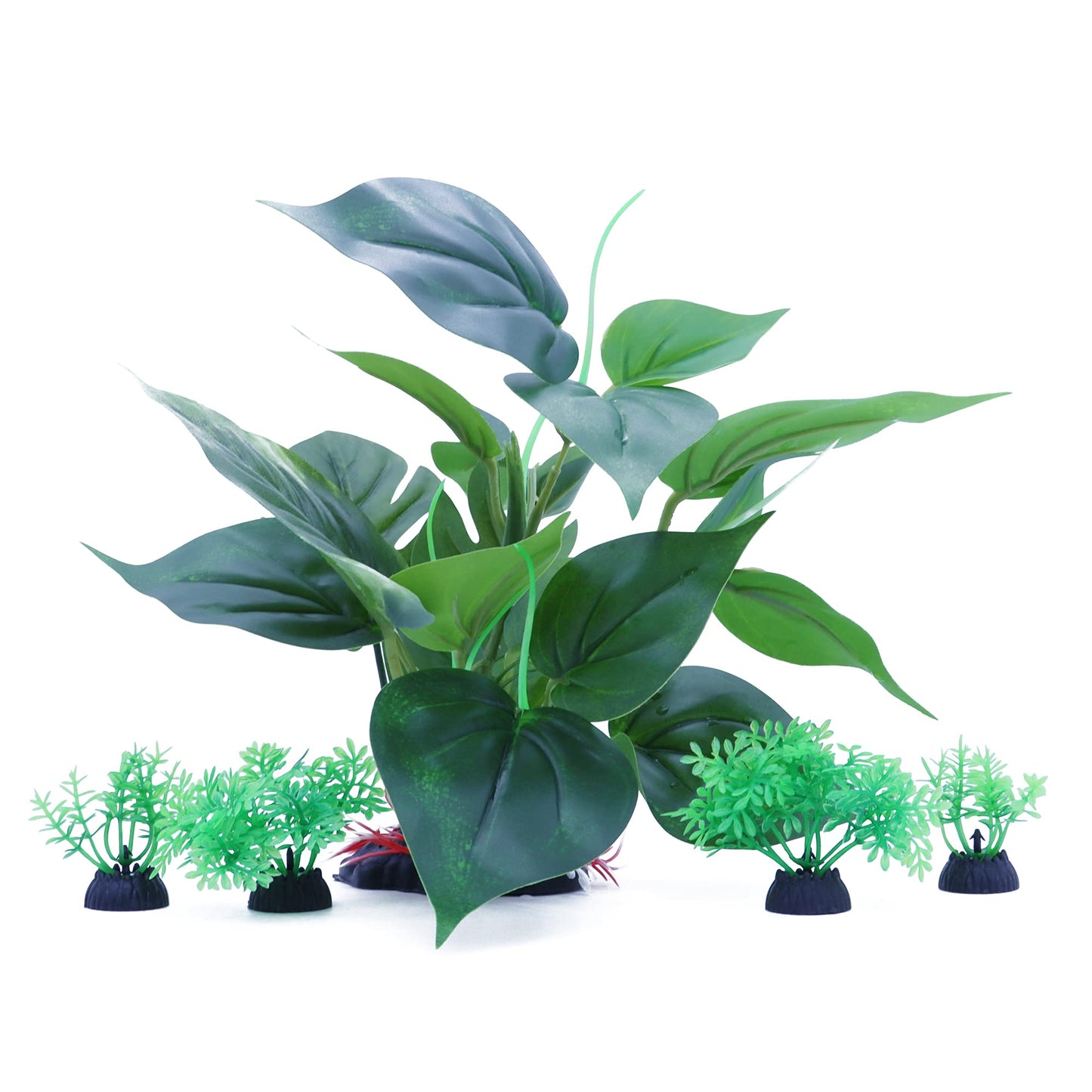 Your one-stop shop for diverse, top-quality aquarium supplies and accessories