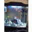 Your one-stop shop for diverse, top-quality aquarium supplies and accessories