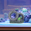 Your one-stop shop for diverse, top-quality aquarium supplies and accessories