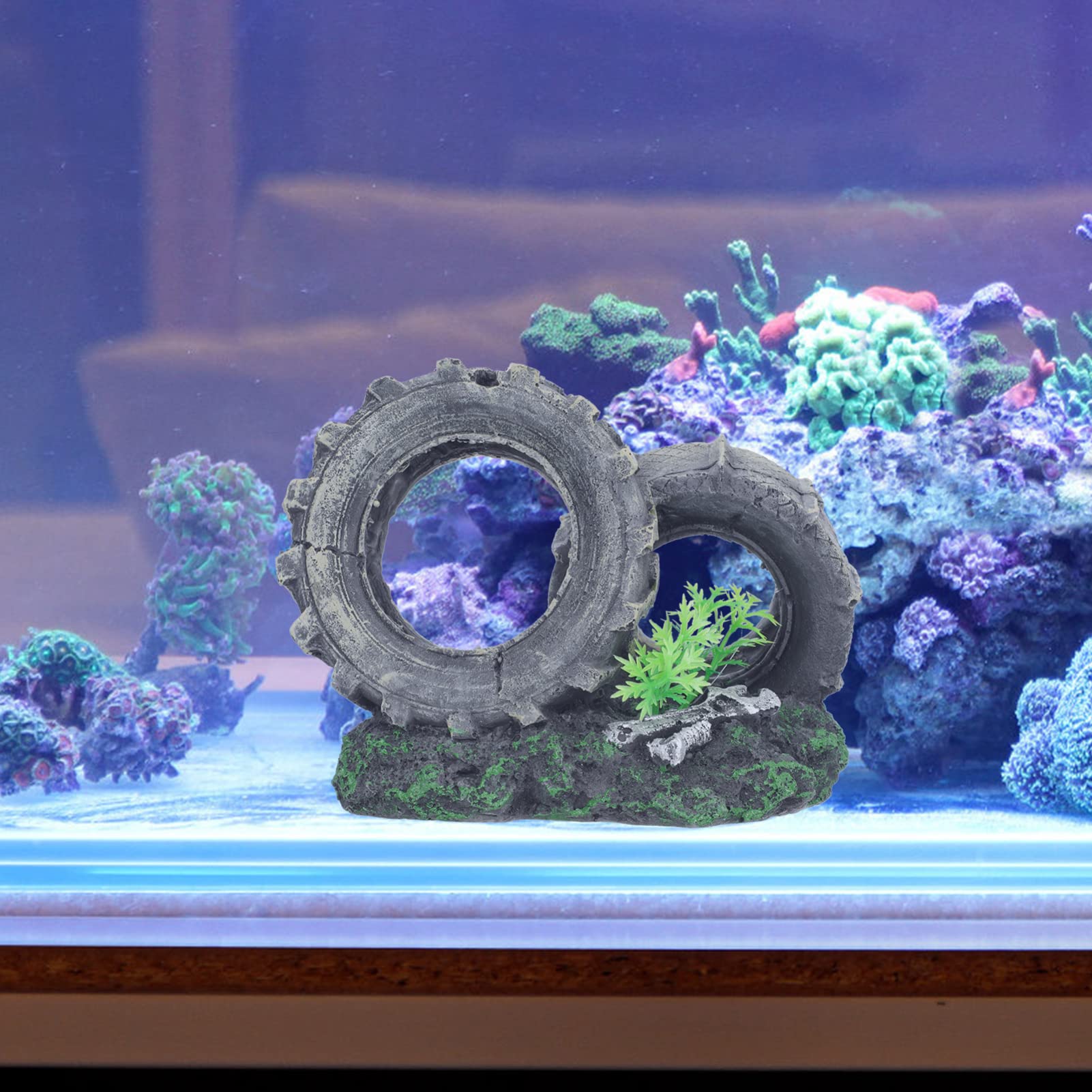 Your one-stop shop for diverse, top-quality aquarium supplies and accessories