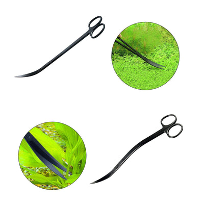 Your one-stop shop for diverse, top-quality aquarium supplies and accessories